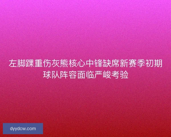 左脚踝重伤灰熊核心中锋缺席新赛季初期球队阵容面临严峻考验